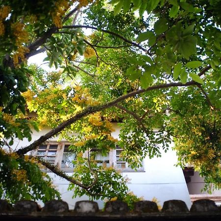 Mali Home Hoi An Zewnętrze zdjęcie