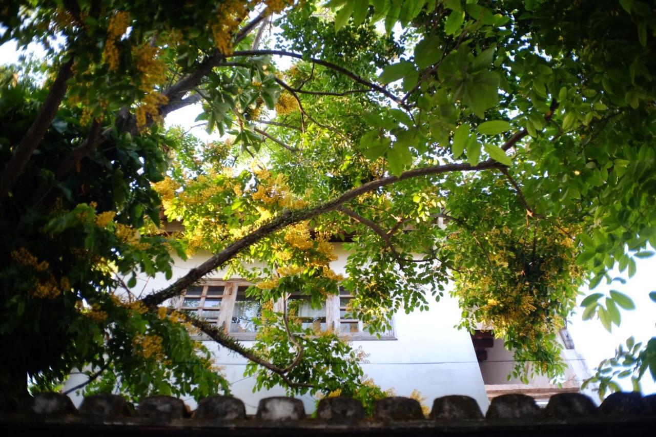 Mali Home Hoi An Zewnętrze zdjęcie